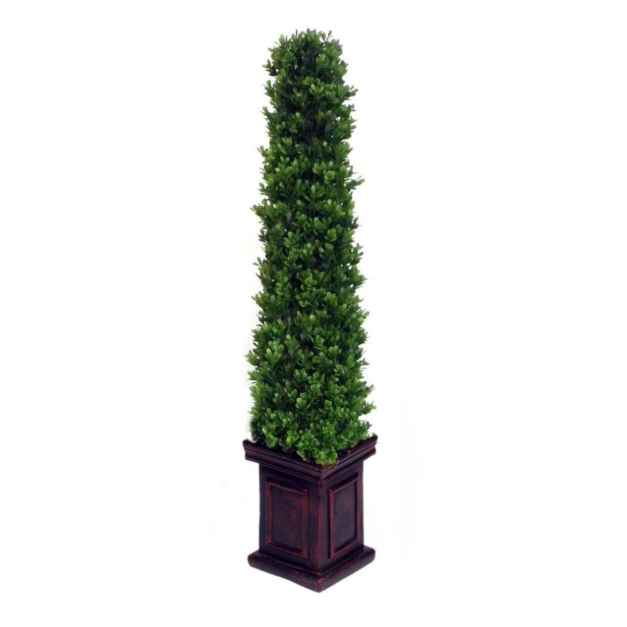 Pyramid Boxwood Topiary 36 in. At Home