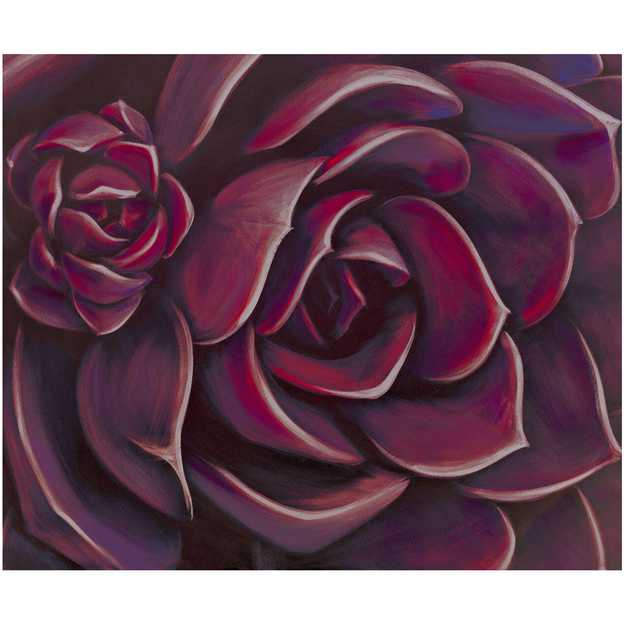 Deep Red Rose Outdoor Canvas 24 X 20 In At Home
