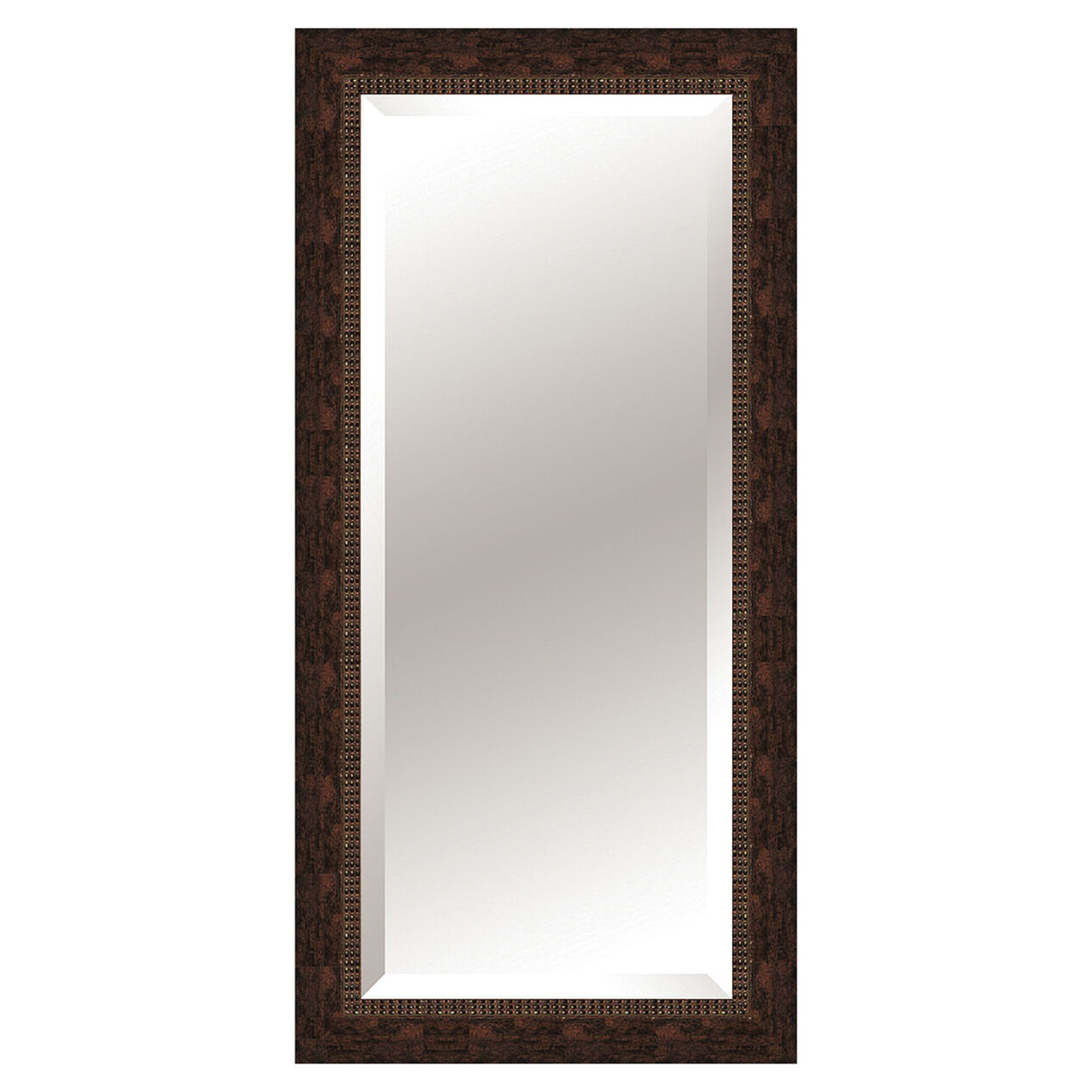 24 X 60in Antique Gold Beveled Mirror At Home