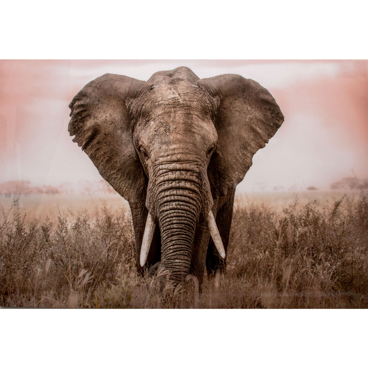 Elephant Encounter Canvas Wall Art, 45" x 30" At Home