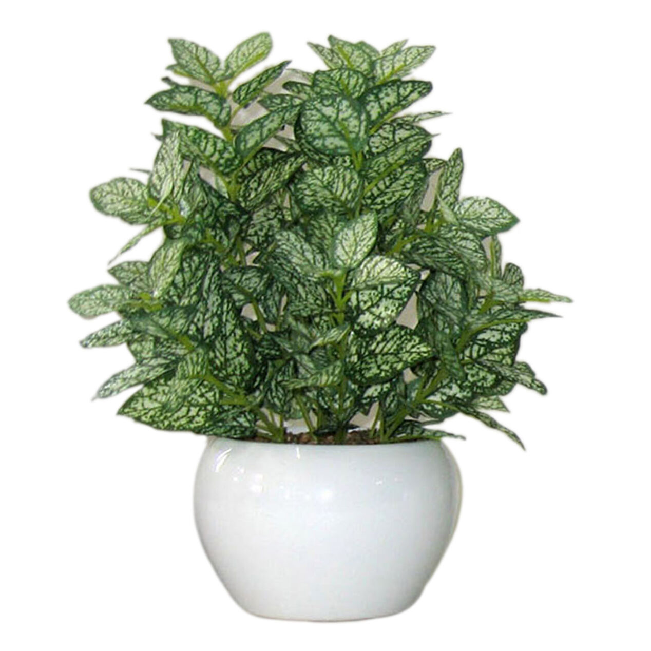 Assortment of 6 Greenery Plant Ceramic Pots 10 in. At Home