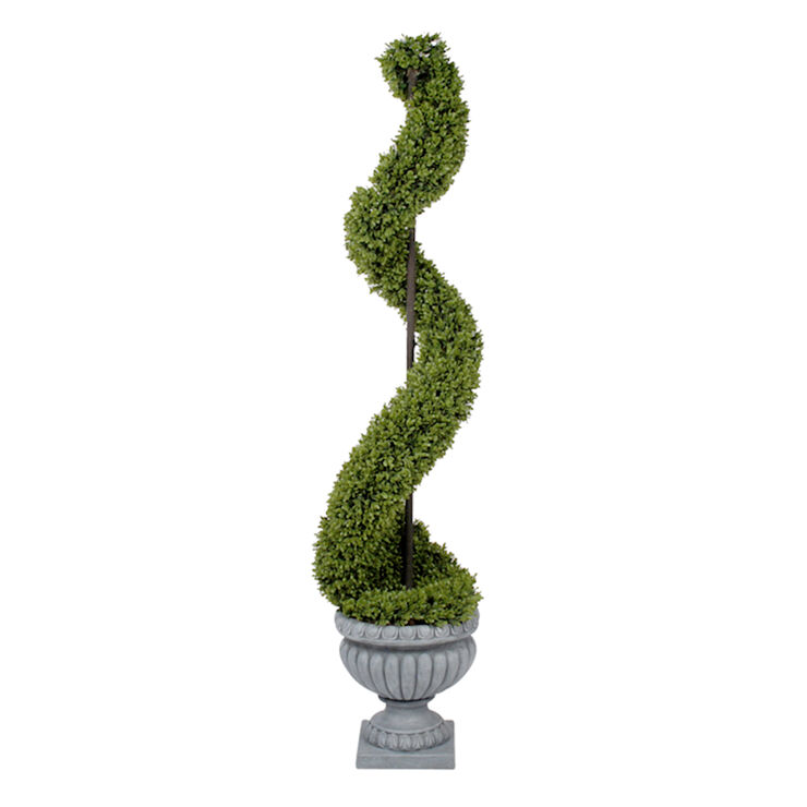 Boxwood Spiral Topiary, 64in. At Home