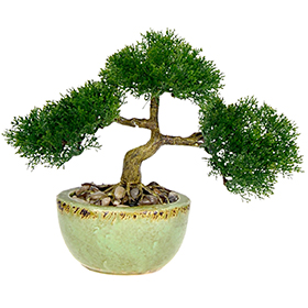 Greenery Bonsai Tree Faux Plant