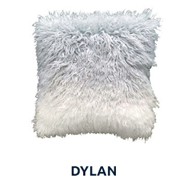 Dylan