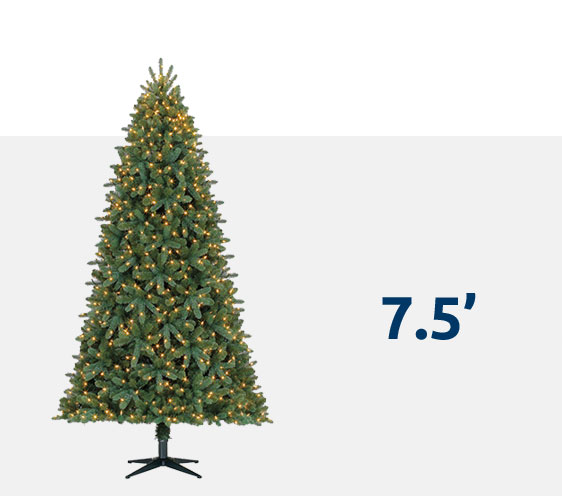 Christmas Tree Size Chart